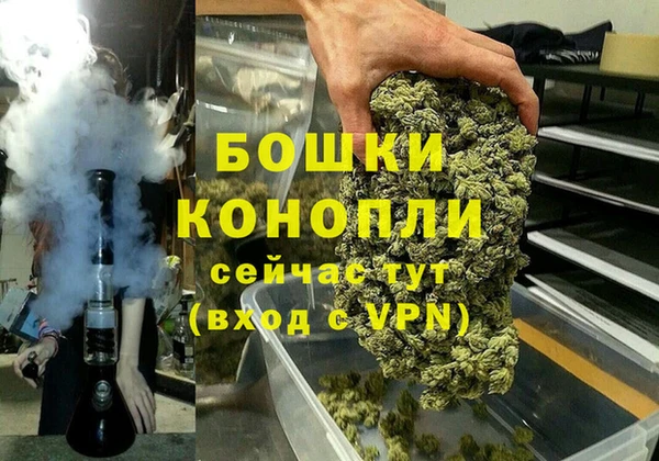 мдпв Новозыбков