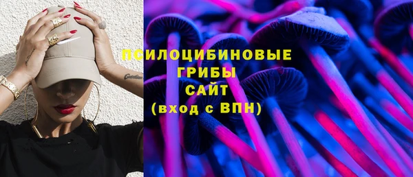 герыч Новодвинск