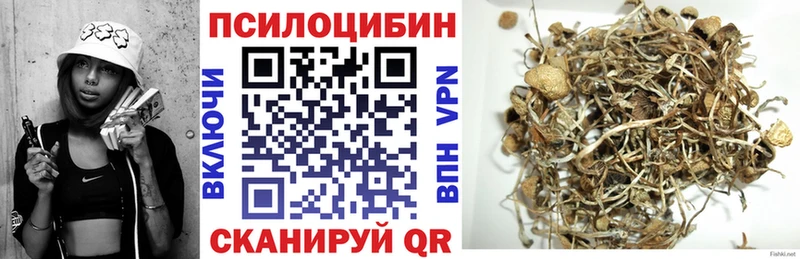 omg ссылка  Алейск  Галлюциногенные грибы Psilocybine cubensis  наркота 